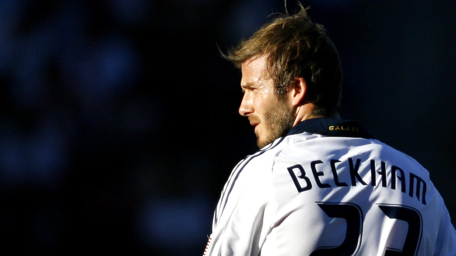 日本新星点燃希望之火！，2020日本新星